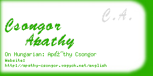 csongor apathy business card